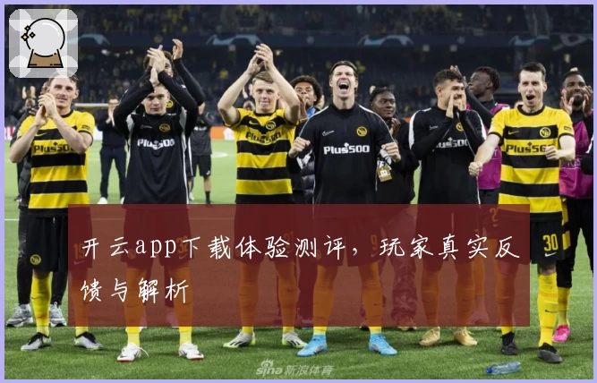 开云app下载体验测评，玩家真实反馈与解析