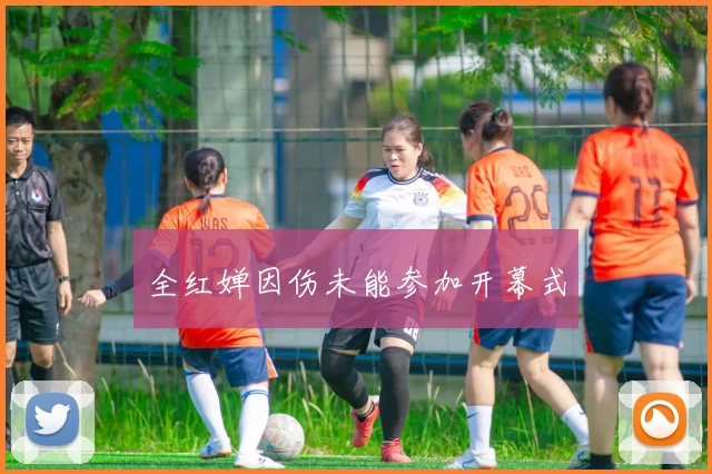 全红婵因伤未能参加开幕式